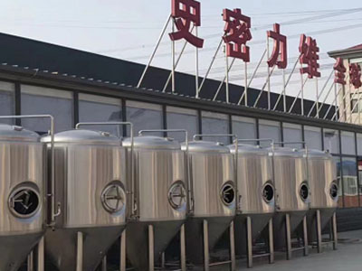 府谷精酿啤酒设备厂—如何判断精酿啤酒设备的密封件需要更换？